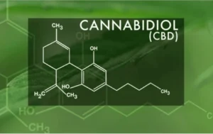 Understanding the CBD Market