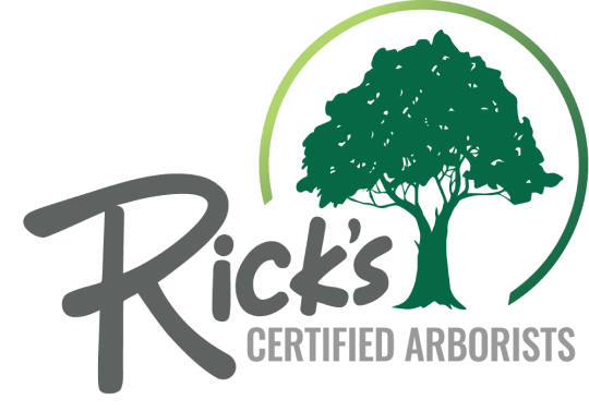 Ricks Certified Arborists