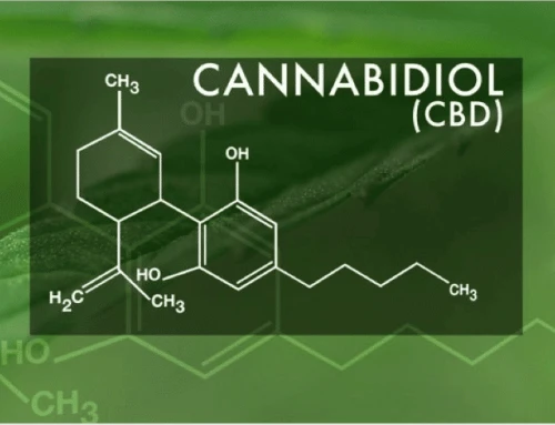 Understanding the CBD Market